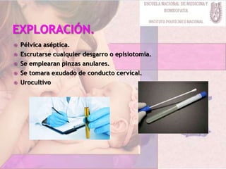  Pélvica aséptica.
 Escrutarse cualquier desgarro o episiotomia.
 Se emplearan pinzas anulares.
 Se tomara exudado de conducto cervical.
 Urocultivo
 