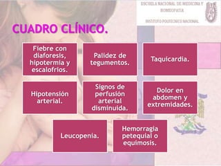 Fiebre con
diaforesis,
hipotermia y
escalofrios.
Palidez de
tegumentos.
Taquicardia.
Hipotensión
arterial.
Signos de
perfusión
arterial
disminuida.
Dolor en
abdomen y
extremidades.
Leucopenia.
Hemorragia
petequial o
equimosis.
 