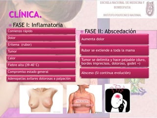 Comienzo rápido
Dolor
Eritema (rubor)
Tumor
Calor
Fiebre alta (39-40°C)
Compromiso estado general
Adenopatías axilares dolorosas a palpación
Aumenta dolor
Rubor se extiende a toda la mama
Tumor se delimita y hace palpable (duro,
bordes imprecisos, doloroso, godet +)
Absceso (Si continua evolución)
 FASE I: Inflamatoria
 FASE II: Abscedación
 