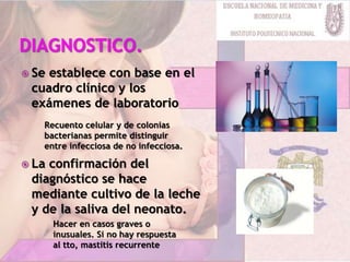  Se establece con base en el
cuadro clínico y los
exámenes de laboratorio
 La confirmación del
diagnóstico se hace
mediante cultivo de la leche
y de la saliva del neonato.
Recuento celular y de colonias
bacterianas permite distinguir
entre infecciosa de no infecciosa.
Hacer en casos graves o
inusuales. Si no hay respuesta
al tto, mastitis recurrente
 
