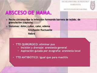  Pecho circunscribe la infección formando barrera de tejido. de
granulación (cápsula)
 Síntomas: dolor, rubor, calor, edema
hinchazón fluctuante
fiebre
• TTO QUIRÚRGICO: eliminar pus
• Incisión y drenaje: anestesia general
• Aspiración guiada por ecografía: anestesia local
• TTO ANTIBIÓTICO: igual que para mastitis
 