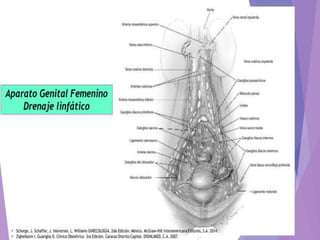 SENSACIÓN DE ABULTAMIENTO
En genitales externos:
(prolapsos;
colpoceles).
 