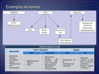 REPERCUSIÓN DE LA DM
                                FETO Y NEONATO                                         MADRE
    GESTACIÓN
                            DPG                  DPG y DG                    DPG                     DG
•   Infecciones
                                            •   Macrosomía
    urinarias                                                                                •   Desarrollo
                                            •   Pérdida         del
•   Candidiasis                                                       •   Precipitación de       posterior de DM
                     •   Malformaciones         bienestar     fetal
    vaginal                                                               las                    tipo 2 y síndrome
                     •   Abortos                ante o intraparto
•   Polihidramnios                                                        complicaciones         metabólico
                     •   RCIU               •   Miocardiopatía
•   HTA                                                                   vasculares         •   DM tipo 1 latente
                                                hipertrófica
•   Prematuridad                                                                                  DM tipo 1
                                            •   Inmadurez fetal
 