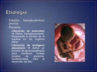 • Estados hiperglucémicos
  previos
• Placenta:
  • Liberación de esteroides
     Efecto hiperglucemiante,
    bloqueando la función de la
    insulina en los órganos
    diana.
  • Liberación de lactógeno
    placentario  Activa un
    proceso de gluconeogénesis
    para     mantener       niveles
    basales     de       glucemia,
    fundamentales        para    el
    desarrollo del feto.
 