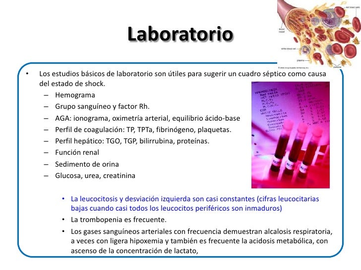 Diagnóstico del shock séptico
