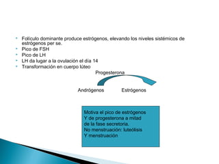  Folículo dominante produce estrógenos, elevando los niveles sistémicos de
estrógenos per se.
 Pico de FSH
 Pico de LH
 LH da lugar a la ovulación el día 14
 Transformación en cuerpo lúteo
Progesterona
Andrógenos Estrógenos
Motiva el pico de estrógenos
Y de progesterona a mitad
de la fase secretoria.
No menstruación: luteólisis
Y menstruación
 