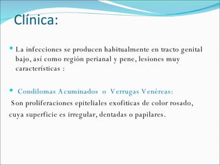 Clínica: La infecciones se producen habitualmente en tracto genital bajo, así como región perianal y pene, lesiones muy características : Condilomas Acuminados  o  Verrugas Venéreas: Son proliferaciones epiteliales exofiticas de color rosado, cuya superficie es irregular, dentadas o papilares. 