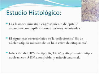 Estudio Histológico: Las lesiones muestran engrosamiento de epitelio escamoso con papilas dermaticas muy acentuadas  El signo mas característico es la coilocitosis:“ Es un núcleo atípico rodeado de un halo claro de citoplasma” Infección del HPV de tipo 16, 18, 45 y 46 presentan atipia nuclear, con ADN aneuploide  y mitosis anormal. 