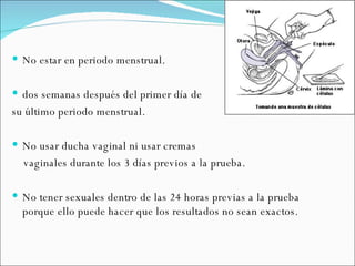 No estar en periodo menstrual.  dos semanas después del primer día de  su último periodo menstrual.  No usar ducha vaginal ni usar cremas  vaginales durante los 3 días previos a la prueba.  No tener sexuales dentro de las 24 horas previas a la prueba porque ello puede hacer que los resultados no sean exactos.  