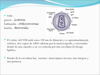 VIH : género -  Lentivirus Subfamilia -  Orthoretrovirinae   familia -  Retroviridae . El virión  del VIH mide unos 120 nm de diámetro y es aproximadamente esférico. dos copias de ARN cubierta por la nucleocápside, y encerradas dentro de una cápside, a su vez rodeada por una envoltura de bicapa lipídica. Dentro de la envoltura hay  enzimas  transcriptasa inversa, una integras y una proteasa.  