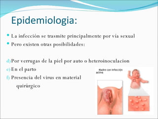 Epidemiologia: La infección se trasmite principalmente por vía sexual Pero existen otras posibilidades: Por verrugas de la piel por auto o heteroinoculacion En el parto Presencia del virus en material  quirúrgico 