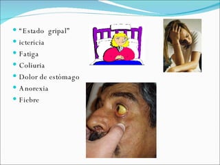 “ Estado  gripal” ictericia  Fatiga Coliuria Dolor de estómago Anorexia Fiebre 