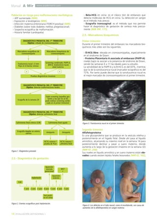 Manual A Mir

www.academiamir.com

Población en riesgo para malformaciones morfológicas
-

AFP aumentada (MIR).
Exposición a teratógenos (MIR).
Infección materna embrionaria (TORCH positiva) (MIR).
Diabetes (sobre todo diabetes mellitas pregestacional).
Sospecha ecográfica de malformación.
Historia familiar (cardiopatía).

- Beta-HCG en orina: es el clásico test de embarazo que
detecta moléculas de HCG en orina. Su detección en sangre
es el método más precoz.
- Ecografía transvaginal: es el método que nos permite
hacer el diagnóstico de gestación de certeza más precozmente (MIR 99F, 177).

2.3.- Marcadores bioquímicos
DIAGNÓSTICO PRENATAL DEL 1ER TRIMESTRE
Objetivo: cribado de cromosomopatías

Marcadores ecográficos de
cromosomopatía

Marcadores bioquímicos de
cromosomopatía

Traslucencia nucal >3 mm
Flujo en el ductus venoso

Screening combinado: PAPP-A,
βHCG, traslucencia nucal,
edad materna

+

+
Pruebas diagnósticas invasivas

Primer trimestre
Durante el primer trimestre del embarazo los marcadores bioquímicos más útiles son los siguientes:
- ß-HCG libre: elevada en cromosomopatías, especialmente
en el síndrome de Down.
- Proteína Placentaria A asociada al embarazo (PAPP-A):
niveles bajos se asocian a la presencia de síndrome de Down,
siendo las semanas 6 a 11 las ideales para su estudio.
La sensibildad de la PAPP-A y la B-HCG es del 65%, mientras
que la de la sonoluscencia nucal (marcador ecográfico) es del
72%. Por tanto puede decirse que la sonoluscencia nucal es
el mejor marcador de cromosomopatía en el primer trimestre.

DIAGNÓSTICO PRENATAL DEL 2º TRIMESTRE
Objetivo: detectar malformaciones fetales

Triple screening (aquellas gestantes a las que no se les
pudo realizar screening combinado en el primer trimestre)

Ecografía de la semana 20

DIAGNÓSTICO PRENATAL DEL 3ER TRIMESTRE
Objetivo: detectar sufrimiento fetal

Sufrimiento fetal crónico (CIR)

Sufrimiento fetal agudo

Figura 3. Translucencia nucal en el primer trimestre.

Segundo trimestre

Ecografía doppler en arteria
uterina

Anteparto

Intraparto

RCTG externo /
prueba de Pose

RCTG interno /
pHmetría fetal

Figura 1. Diagnóstico prenatal.

Alfafetoproteína
Es una glucoproteína que se produce en la vesícula vitelina y
posteriormente en el hígado fetal. Desde ahí pasa al líquido
amniótico, alcanzando su máximo nivel en la semana 14 para
posteriormente declinar y pasar a suero materno, donde
aumenta a lo largo de la gestación (máximo en la semana 32)
(MIR 97, 250).
Sus niveles en líquido amniótico y en suero materno están elevados cuando existen tejidos fetales lesionados (MIR 02, 162),

2.2.- Diagnóstico de gestación
Aparición
vesícula
gestacional

MCF
+

Aparición
embrión

Implantación
FUR

1 sem 2 sem 3 sem 4 sem 5 sem 6 sem 7 sem
Test positivo en orina

Figura 2. Eventos ecográficos post implantación.

14 ] EVALUACIÓN GESTACIONAL [

Figura 4. Los defectos en el tubo neural, como el encefalocele, son causa de
aumentos de la alfafetoproteína en sangre materna.

 