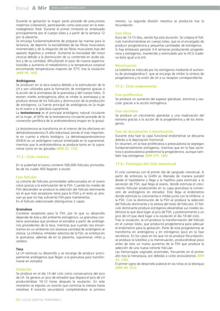 Manual A Mir

www.academiamir.com

Durante la gestación la mayor parte procede de precursores
maternos (colesterol), participando como precursor en la esteroidogénesis fetal. Durante el primer trimestre es sintetizado
principalmente por el cuerpo lúteo y a partir de la semana 12
por la placenta.
Se encarga fundamentalmente de preparar las mamas para la
lactancia, de deprimir la excitabilidad de las fibras musculares
miometriales y de la relajación de las fibras musculares lisas del
aparato digestivo y ureteral. Aumenta la viscosidad del moco
cervical debido a la disminución de su contenido en ácido siálico y de su cantidad, dificultando el paso de nuevos espermatozoides y aumenta el metabolismo y la temperatura corporal
encontrando temperaturas mayores de 37ºC tras la ovulación
(MIR 99, 169).
Andrógenos
Se producen en la teca ovárica debido a la estimulación de la
LH y son utilizados para la formación de estrógenos gracias a
la acción de la aromatasa de la granulosa y del cuerpo lúteo. Si
existen niveles androgénicos altos se inhibe la aromatasa y se
produce atresia de los folículos y disminución de la producción
de estrógenos. La fuente principal de andrógenos en la mujer
es el ovario y la glándula suprarrenal.
La testosterona es el principal andrógeno natural circulante
en la mujer, el 50% de la testosterona circulante procede de la
conversión periférica de la androstendiona (mayor en la grasa).
La testosterona se transforma en el interior de los efectores en
dehidrotestosterona (5 alfa reductasa) siendo el más importante en cuanto a efecto biológico. La dehidroepiandrosterona
(DHEA) es un andrógeno natural sintetizado en la suprarrenal,
mientras que la androstendiona se produce tanto en la suprarrenal como en las gónadas (MIR 02, 170).

17.2.- Ciclo ovárico
En la pubertad el ovario contiene 500.000 folículos primordiales de los cuales 400 llegarán a ovular.

Fase folicular
La cohorte de folículos primordiales seleccionados en el ovario
crece gracias a la estimulación de la FSH. Cuando los niveles de
FSH descienden se produce la selección del folículo dominante
(es el que más receptores tiene para le FSH) y el resto se atresian ya que no hay suficiente FSH para mantenerlos.
En el folículo seleccionado distinguimos 2 capas:
Granulosa
Contiene receptores para la FSH, por lo que su desarrollo
depende de ésta y del ambiente estrogénico. La granulosa contiene aromatasa que produce el estradiol a partir de andrógenos procedentes de la teca, mientras que cuando nos encontramos en un ambiente con excesiva cantidad de andrógeno se
atresia. La inhibina, inhibidor selectivo de la FSH, se sintetiza en
la granulosa, además de en la placenta, suprarrenal, riñón y
cerebro.
Teca
La LH estimula su desarrollo y se encarga de producir principalmente andrógenos que llegan a la granulosa para transformarse en estradiol.

Ovulación
Se produce en el día 14 del ciclo como consecuencia del pico
de LH. Se genera un pico de estradiol que dispara el pico de LH
produciéndose 10-12 horas después la ovulación. En este
momento se expulsa un ovocito que continúa la meiosis hasta
metafase II (ovocito secundario) completándose la primera

46 ] CICLO GENITAL FEMENINO [

meiosis. La segunda división meiotica se producirá tras la
fecundación.

Fase lútea
Dura de 13-15 días, siendo fija esta duración. Se colapsa el folículo transformándose en cuerpo lúteo, que es el encargado de
producir progesterona y pequeñas cantidades de estrógenos.
Si hay embarazo persiste 3-4 semanas produciendo progesterona y estrógenos, mantenido y estimulado por la HCG (cadena beta igual a la LH).

Menstruación
La luteólisis es inducida por los estrógenos mediante el aumento de prostaglandina F, que se encarga de inhibir la síntesis de
progesterona y la unión de LH a su receptor correspondiente.

17.3.- Ciclo endometrial
Fase proliferativa
Se produce un aumento del espesor glandular, estromal y vascular gracias a la acción estrogénica.

Fase secretora
Se produce un crecimiento glandular y una maduración del
estroma gracias a la acción de la progesterona y de los estrógenos.

Fase de descamación o menstruación
Durante esta fase la capa funcional endometrial se descama
debido a la deprivación hormonal.
En resumen, en la fase proliferativa o preovulatoria se segregan
fundamentalmente estrógenos, mientras que en la fase secretora o postovulatoria predomina la progesterona, aunque también hay estrógenos (MIR 97F, 186).

17.4.- Fisiología del ciclo menstrual
El ciclo comienza con el primer día de sangrado menstrual. A
partir de entonces la GnRH es liberada de manera pulsátil
desde el hipotálamo y llega a la hipófisis para estimular a la
secreción de FSH, que llega al ovario, donde estimula el crecimiento folicular produciendo en su capa granulosa la conversión de andrógenos en estradiol. Éste llega al endometrio
donde estimula su crecimiento e inhibe junto con la inhibina a
la FSH. Con la disminución de la FSH se produce la selección
del folículo dominante y la atresia del resto de folículos. El folículo dominante produce estrógenos elevándose sus niveles sistémicos lo que dará lugar al pico de FSH, y posteriormente a un
pico de LH que dará lugar a la ovulación el día 14 del ciclo.
Tras la ovulación, la LH produce la transformación del folículo
en el cuerpo lúteo, que producirá progesterona para adecuar
el endometrio para la gestación. Parte de esta progesterona se
transforma en andrógenos y en estrógenos (pico en la fase
secretora). En los casos en los que no se produce fecundación,
se produce la luteólisis y la menstruación, produciéndose poco
antes de esto un nuevo aumento de la FSH que produce la
selección de una nueva cohorte folicular.
Las hemorragias vaginales anormales, frecuentes en el primer
año tras la menarquia, son debidas a ciclos anovulatorios (MIR
03, 236).
El primer signo de desarrollo puberal en las niñas es la telarquia
(MIR 99, 257).

 