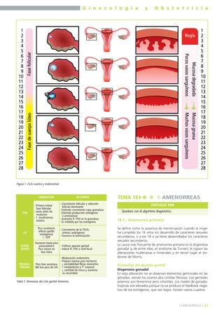 G i n e c o l o g í a

y

O b s t e t r i c i a

Figura 1. Ciclo ovárico y endometrial.

ACCIONES

LIBERACIÓN

FSH

LH

ESTRÓGENOS

PROGESTERONA

- Primera mitad
fase folicular
- Justo antes de
ovulación
- ↑: insuficiencia
ovárica
Pico ovulatorio
(efecto gatillo
estrógenos)
↑: SOP

- Crecimiento folicular y selección
folículo dominante
- Estimula crecimiento capa granulosa
- Estimula producción estrógenos
(+aromatasa)
- Aumenta R. FSH en la granulosa
- Es inhibida por los estrógenos
- Crecimiento de la TECA:
síntesis andrógenos
- Favorece la luteinización

Aumenta hasta pico
- Tróficos aparato genital
preovulatorio
- Induce R. FSH a nivel local
Pico menor en
fase lútea
- Maduración endometrio
- Prepara mamas para lactancia
Pico fase secretora - ↓ excitabilidad fibras miometrio
(8d tras pico de LH) - ↑ metabolismo y Tº corporal
- ↓ cantidad de moco y aumenta
su viscosidad

Tabla 1. Hormonas del ciclo genital femenino.

TEMA 18

AMENORREAS
ENFOQUE MIR

Quedaos con el algoritmo diagnóstico.

18.1.- Amenorrea primaria
Se define como la ausencia de menstruación cuando la mujer
ha cumplido los 16 años sin desarrollo de caracteres sexuales
secundarios, o a los 18 si ya tiene desarrollados los caracteres
sexuales secundarios.
La causa más frecuente de amenorrea primaria es la disgenesia
gonadal (y de entre ellas, el síndrome de Turner); le siguen las
alteraciones mullerianas e himenales y en tercer lugar el síndrome de Morris.

Anomalías del aparato genital
Disgenesia gonadal
En esta alteración no se observan elementos germinales en las
gónadas, siendo los ovarios dos cintillas fibrosas. Los genitales
externos son femeninos pero infantiles. Los niveles de gonadotropinas son elevados porque no se produce el feedback negativo de los estrógenos, que son bajos. Existen varios cuadros:

] AMENORREAS [ 47

 