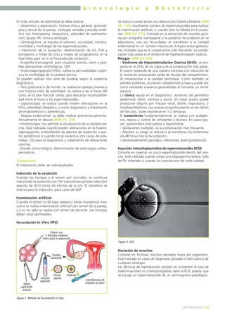G i n e c o l o g í a
En todo estudio de esterilidad se debe realizar:
- Anamnesis y exploración: historia clínica general, ginecológica y sexual de la pareja; citologías seriadas y estudio analítico con hemograma, bioquímica, velocidad de sedimentación, grupo, Rh, orina y serología.
- Seminograma: se estudia el volumen, viscosidad, número,
movilidad y morfología de los espermatozoides.
- Valoración de la ovulación: determinación de LH, FSH y
estrógenos a mitad de ciclo y niveles de progesterona en la
fase lútea para ver si se ha producido ovulación.
- Ecografía transvaginal: para visualizar ovarios, útero y posibles alteraciones morfológicas, SOP.
- Histerosalpingografía (HSG): valora la permeabilidad tubárica y la morfología de la cavidad uterina.
Se pueden realizar otra serie de pruebas según la sospecha
diagnóstica.
- Test postcoital o de Hunter: se realiza en parejas jóvenes y
con historia corta de esterilidad. Se realiza a las 4 horas del
coito, en la fase folicular tardía, para descartar incompatibilidad entre el moco y los espermatozoides.
- Laparoscopia: se realiza cuando existen alteraciones en la
HSG, esterilidad idiopática, o como diagnóstico y tratamiento
de endometriosis o adherencias.
- Biopsia endometrial: se debe realizar premenstrualmente.
Actualmente en desuso (MIR 01, 174).
- Histeroscopia: nos permite la visualización de la cavidad uterina. Está indicada cuando existen alteraciones en la histerosalpingografía, antecedentes de abortos de repetición o partos pretérmino o cuando no se evidencia otra causa de esterilidad. Útil para el diagnóstico y tratamiento de alteraciones
uterinas.
- Estudio inmunológico: determinación de anticuerpos antiespermáticos.

Tratamiento

y

O b s t e t r i c i a

Se realiza cuando existe una obstrucción tubárica bilateral (MIR
08, 170), insuficiente número de espermatozoides para realizar
la inseminación artificial, o cuando ésta ha fallado en 6 ocasiones (MIR 02, 171). Consiste en la extracción de ovocitos guiada por ecografía transvaginal y la posterior fecundación en el
laboratorio; una vez fecundados se transfieren a la cavidad
endometrial en un número máximo de 3-4 para evitar gestaciones múltiples que es la complicación más frecuente. La complicación más grave es el síndrome de hiperestimulación ovárica.
Riesgos (MIR 03, 244)
- Síndrome de Hiperestimulación Ovárica (SHO): se presenta en el 25% de los casos y es la complicación más grave.
El ovario responde de una manera excesiva a la inducción de
la ovulación provocando salida de líquido del compartimiento intravascular a la cavidad peritoneal. Como también se
pierden proteínas, la presión coloidosmótica baja y puede dar
como resultado anasarca generalizada al formarse un tercer
espacio.
La clínica ayuda en el diagnóstico: aumento del perímetro
abdominal, dolor, vómitos y ascitis. En casos graves puede
producirse oliguria por fracaso renal, distrés respiratorio, y
tromboembolismo. Los ovarios ecográficamente se ven llenos
de folículos. Suele resolverse en 1-2 semanas.
El tratamiento fundamentalmente se realiza con analgésicos, reposo y control de constantes y diuresis. En casos graves: paracentesis evacuadora o laparotomía.
- Gestaciones múltiples: es la complicación más frecuente.
- Abortos: su riesgo se reduce si se transfieren los embriones
24-48 horas tras la fecundación.
- Del procedimiento quirúrgico: infecciones, lesión postpunción.
Inyección intracitoplasmática de espermatozoides (ICSI)
Consiste en inyectar un único espermatozoide dentro del ovocito. Esté indicada cuando existe una oligospermia severa, fallo
de FIV reiterado o cuando los ovocitos son de mala calidad.

El tratamiento debe ser individualizado.
Inducción de la ovulación
Cuando las trompas y el semen son normales, se comienza
induciendo la ovulación con FSH subcutánea (primera elección)
seguida de HCG (imita los efectos de la LH). El clomifeno se
reserva para la inducción, para casos de SOP.
Inseminación artificial
Cuando el semen es de baja calidad o existe impotencia masculina se realiza inseminación artificial con semen de la pareja,
y si es no apto se realiza con semen de donante. Las trompas
deben estar permeables.
Fecundación In Vitro (FIV)
Ovario con
5 folículos maduros
listos para la aspiración
Figura 2. ICSI.

Donación de ovocitos
Consiste en fertilizar ovocitos donados fuera del organismo.
Está indicada en casos de disgenesia gonadal o fallo ovárico de
cualquier etiología.
Las técnicas de reproducción asistida no aumentan la tasa de
malformaciones ni cromosomopatías salvo la ICSI, puesto que
se escoge un espermatozoide de un seminograma patológico.

Trompa
obstruída

Aguja
aspirando
ovocito

Ovocito
aspirado

Fecundación

Embrión
Transferencia de
embrión al útero

Figura 1. Método de fecundación in vitro.
] ESTERILIDAD [ 53

 