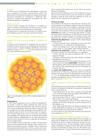 G i n e c o l o g í a
Cervicitis
Se define como la inflamación del cuello debido a agresiones
que se producen en él (coito, instrumentación, parto). Son
generalmente asintomáticas y pueden ser inespecíficas (las más
frecuentes producidas por cocobacilos) o específicas (TBC,
gonococo). Cuando estas agresiones se producen de forma
repetida predisponen a metaplasia.

Pólipos cervicales
Son los tumores cervicales más frecuentes. La incidencia es
mayor en mujeres de 50-60 años. Es más frecuente en multíparas y como síntoma principal producen hemorragias.
El tratamiento es su extirpación por torsión con posterior estudio histológico ya que el 1% tienen áreas de carcinoma.

27.2.- Procesos pre-malignos y malignos de cérvix
Etiología de los procesos pre malignos y malignos del
cérvix
A diferencia de la mayoría de las neoplasias que se tratan en
oncología, el cáncer de cervix y su constelación de lesiones precursoras, tienen un agente etiológico identificado: el virus del
papiloma humano (MIR 07, 177). Es causa necesaria para que
una mujer desarrolle cáncer de cérvix.

y

O b s t e t r i c i a

teínas supresoras de tumores como la p53. Este es el inicio del
proceso carcinogénico.
Recuerda que las neoplasias que más frecuentemente causa el
HPV son las de cuello uterino, pero que también es el agente
etiológico causal de otras como las neoplasias de vulva, de
vagina, de ano y algunas de la cavidad oral.
Factores de riesgo
En la población de mujeres en edad fértil que mantienen relaciones sexuales se han llegado a objetivar tasas de prevalencia
de HPV de hasta el 30%. Sin embargo, es obvio que la prevalencia del cáncer de cervix entre estas mujeres dista mucho de
estas cifras. Esto es porque el HPV es causa necesaria, pero no
suficiente para producir un cáncer de cuello uterino. La mayoría de las mujeres infectadas por el HPV eliminan esta infección
por medio de su sistemea inmune. Sin embargo, existen unos
cofactores que “ayudan” al HPV en su proceso carcinogénico.
Cofactores de adquisición (“ayudan” al HPV a llegar hasta el
epitelio cervical)
- Conducta sexual de riesgo: edad joven al primer coito, promiscuidad sexual, no utilización de métodos barrera.
- Tener como pareja a una “varón de riesgo elevado”: promiscuo sexual, no circuncidado, malos hábitos higiénicos.
Cofactores de progresión (“ayudan” al HPV que ya está
infectando el epitelio cervical a desarrollar una neoplasia)
- Virales: infección por cepas oncogénicas (HPV 16 y 18),
carga viral elevada.
- Genéticos: respuesta inmune de cada individuo, susceptibilidad genética a la infección.
- Medio-ambientales (de mucha importancia porque son los
únicos factores de riesgo modificables): tabaquismo, uso de
anticonceptivos orales, inmunosupresión (en especial coinfección de HPV y VIH), coexistencia de otras ETS (Chlamydia trachomatis, VHS etc.).
La vacuna del papilomavirus es una vacuna tetravalente
recombinante no infecciosa, preparada a partir de partículas
similares a proteínas de los virus del papiloma humano tipos 6,
11, 16 y 18. Ha demostrado proteger frente a la aparición de
lesiones preneoplásicas (CIN 2 y 3) asociadas a los tipos incluidos en la vacuna (MIR 08, 219).

Lesiones subclínicas: lesiones escamosas intraepiteliales
(SIL)

Figura 1. El virus del papiloma humano (HPV) es el agente etiológico del cáncer de cérvix.

Etiopatogenia
EL HPV (human papilloma virus) es un ADN virus epiteliotrofo
que tiende a invadir las células epiteliales del cuello uterino
situadas en la zona de transformación, que es la zona más activa en cuanto a replicación celular. No todas las cepas de HPV
son oncogénicas. Las cepas oncogénicas más prevalentes entre
la población general son la 16 y la 18.Las cepas no oncogénicas o de bajo riesgo (como la 6 y la 11) son las causantes de
otras patologías no malignas como los condilomas acuminados
del periné (lesiones sobreelevadas en las zonas perineales de
máxima fricción durante el coito sin capacidad de progresión
hacia la malignización).
El virus invade la célula y puede dejar su ADN en forma de episoma (sin unirlo al genoma del huésped) o bien insertarlo en el
genoma del huésped y poner a trabajar toda la maquinaria
celular para producir réplicas de sí mismo. Cuando esto ocurre,
se producen las proteínas E (sobre todo E7) que se unen a pro-

La nomenclatura actual procede de una modificación de la clasificación de Bethesda y habla de SIL (squamous intraepithelial
lesion), dividiéndolas en:
- SIL de bajo grado (L-SIL, de “low”): equivale a la antigua CIN
1. Son cambios celulares leves provocados generalmente por
infecciones autolimitadas del HPV.
- SIL de alto grado (H-SIL, de “high”): equivale a las antiguas
CIN 2 y CIN 3. Son cambios premalignos.
- ASCUS: (adenosquamous cells of uncertain significance): el
patólogo ve en el frotis células que no sabe a ciencia cierta si
son malignas o no.
- AGC (atypic glhandular cells): son lesiones originadas en las
células glandulares en lugar de en las células escamosas. En
la última década está aumentando su incidencia.
Lo más frecuente es que todas estas lesiones sean asintomáticas o subclínicas (MIR 98F, 39).

Cribado de lesiones premalignas y malignas del cérvix
La técnica validada como cribado poblacional es la citología. Se
debe iniciar el cribado a los 3 años del primer coito vaginal o a
la edad de 25 años. En mujeres menores de 30 años se aconseja una citología anual. Tras tres citologías anuales negativas
puede considerarse su repetición cada 3 años (salvo que existan
factores concomitantes de riesgo como ser VIH positivo, promiscuidad sexual, etc.). El grupo diana de este screening son las
] PATOLOGÍA DEL CUELLO [ 61

 