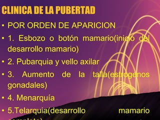 CLINICA DE LA PUBERTAD POR ORDEN DE APARICION 1. Esbozo o botón mamario(inicio del desarrollo mamario) 2. Pubarquia y vello axilar 3. Aumento de la talla(estrogenos gonadales) 4. Menarquía 5.Telarquia(desarrollo mamario completo) 