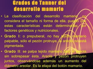 Grados de Tanner del desarrollo mamario  La clasificación del desarrollo mamario, no considera el tamaño ni forma de ella, puesto que estas características están determinadas por factores genéticos y nutricionales. Grado I : o prepuberal, no hay tejido mamario palpable, sólo el pezón protruye, la aréola no está pigmentada.  Grado II : se palpa tejido mamario bajo la areola sin sobrepasar ésta. Areola y pezón protruyen juntos, observándose además un aumento del diámetro areolar. Es la etapa del botón mamario.    