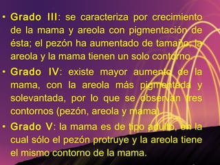 Grado III : se caracteriza por crecimiento de la mama y areola con pigmentación de ésta; el pezón ha aumentado de tamaño; la areola y la mama tienen un solo contorno.  Grado IV : existe mayor aumento de la mama, con la areola más pigmentada y solevantada, por lo que se observan tres contornos (pezón, areola y mama).  Grado V : la mama es de tipo adulto, en la cual sólo el pezón protruye y la areola tiene el mismo contorno de la mama.  