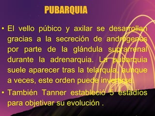 PUBARQUIA El vello púbico y axilar se desarrollan gracias a la secreción de andrógenos por parte de la glándula suprarrenal durante la adrenarquia. La pubarquia suele aparecer tras la telarquia, aunque a veces, este orden puede invertirse. También Tanner estableció 5 estadíos para objetivar su evolución . 