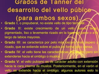 Grados de Tanner del desarrollo del vello púbico (para ambos sexos).  Grado I , o prepuberal, no existe vello de tipo terminal.  Grado II : existe crecimiento de un vello suave, largo, pigmentado, liso o levemente rizado en la base del pene o a lo largo de labios mayores.  Grado III : se caracteriza por pelo más oscuro, más áspero y rizado, que se extiende sobre el pubis en forma poco densa.  Grado IV : el vello tiene las características del adulto, pero sin extenderse hacia el ombligo o muslos.  Grado V : el vello pubiano es de carácter adulto con extensión hacia la cara interna de muslos. Posteriormente, en el varón el vello se extiende hacia el ombligo; algunos autores esto lo consideran como un grado VI.  