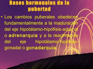 Bases hormonales de la pubertad Los cambios puberales obedecen fundamentalmente a la maduración del eje hipotálamo-hipófisis-adrenal o  adrenarquia  y a la reactivación del eje hipotálamo-hipófisis-gonadal o  gonadarquia. 