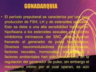 GONADARQUIA El período prepuberal se caracteriza por una baja producción de FSH, LH y de esteroides sexuales. Esto se debe a una alta sensibilidad hipotálamo-hipofisiaria a los esteroides sexuales y a factores inhibitorios intrínsecos del SNC, que actuarían frenando el generador de pulso hipotalámico. Diversos neuromoduladores (neurotrasmisores, factores neurales, hormonales, metabólicos) y factores ambientales han sido involucrados en la regulación del generador de pulso, sin embargo el mecanismo íntimo por el cual operan, es aún desconocido. 