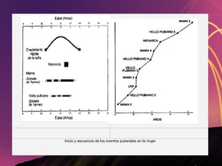 Inicio y secuencia de los eventos puberales en la mujer 