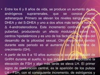 Entre los 6 y 8 años de vida, se produce un aumento de los andrógenos suprarrenales, que se conoce como  adrenarquia.  Primero se elevan los niveles sanguíneos de DHEA y del S-DHEA y uno a dos años más tarde lo hace la Δ 4-androstenodiona. Este incremento continúa hasta la pubertad, produciendo un efecto modulador sobre los centros hipotalámicos y es uno de los factores causantes del desarrollo de la pilosidad sexual. Otro importante cambio durante este periodo es el aumento de la hormona de crecimiento (GH). A partir de los 8 a 10 años aumenta la secreción pulsátil de GnRH durante el sueño, lo que induce a nivel hipofisario la elevación de FSH y algo más tarde se eleva LH. El primer signo de maduración central, es la aparición de los pulsos LH - FSH, con el consiguiente incremento, de estrógenos y andrógenos producidos por la gónada. 