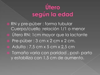  RN y pre-púber : forma tubular
Cuerpo/cuello :relación 1/1 o menor
 Útero RN: 1cm mayor que la lactante
 Pre-púber : 3 cm x 2 cm x 2 cm.
 Adulta : 7,5 cm x 5 cm x 2,5 cm
 Tamaño varia con paridad , post- parto
y estabiliza con 1,5 cm de aumento.
 