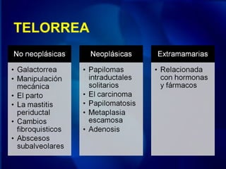 TELORREA
 