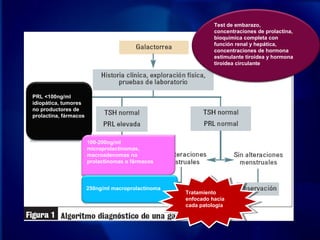 Test de embarazo,
concentraciones de prolactina,
bioquímica completa con
función renal y hepática,
concentraciones de hormona
estimulante tiroidea y hormona
tiroidea circulante
PRL <100ng/ml
idiopática, tumores
no productores de
prolactina, fármacos
100-200ng/ml
microprolactinomas,
macroadenomas no
prolactinomas o fármacos
250ng/ml macroprolactinoma
Tratamiento
enfocado hacia
cada patología
Tratamiento
enfocado hacia
cada patología
 