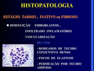 HISTOPATOLOGIA
ESTÁGIO TARDIO , INATIVO ou FIBROSO
 DIMINUIÇÃO FIBROBLASTOS ,
INFILTRADO INFLAMATÓRIO
VASCULARIZAÇÃO
DUCTOS
- RODEADOS DE TECIDO
CONJUNTIVO DENSO
- FOCOS DE ELASTOSE
- PERMEAÇÃO POR TECIDO
ADIPOSO
 