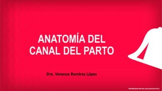 ANATOMÍA DEL
CANAL DEL PARTO
Dra. Vanessa Ramirez López
 