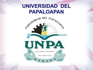 UNIVERSIDAD DEL
PAPALOAPAN
 