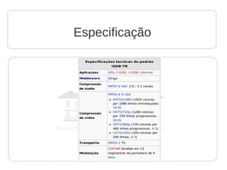 Especificação
 
