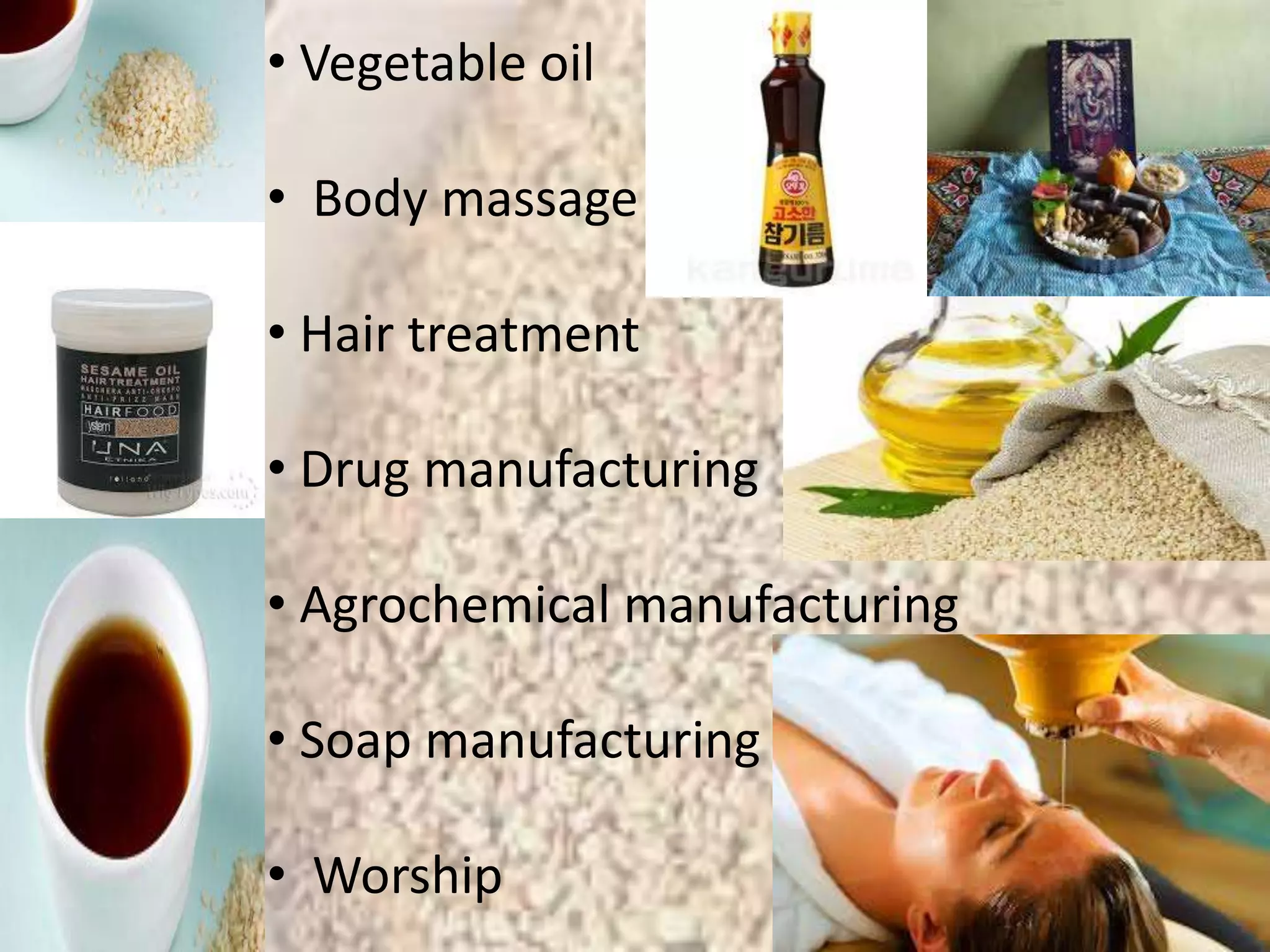 Scientific 
classification 
Kingdo 
m: 
Plantae 
(unrank 
ed): 
Angiosp 
erms 
(unrank 
ed): 
Eudicot 
s 
(unrank 
ed): 
Asterids 
Order: Lamiale 
s 
Family: Pedalia 
ceae 
Genus: Sesamu 
m 
Species 
: 
S. 
indicu 
m 
• Vegetable oil 
• Body massage 
• Hair treatment 
• Drug manufacturing 
• Agrochemical manufacturing 
• Soap manufacturing 
• Worship 
 