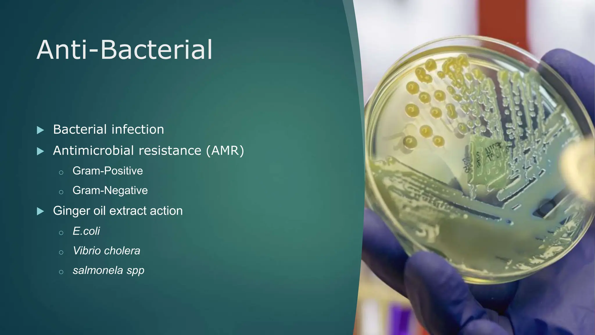 Medicinal biospecificity of ginger and its bioactive compounds | PPTX ...