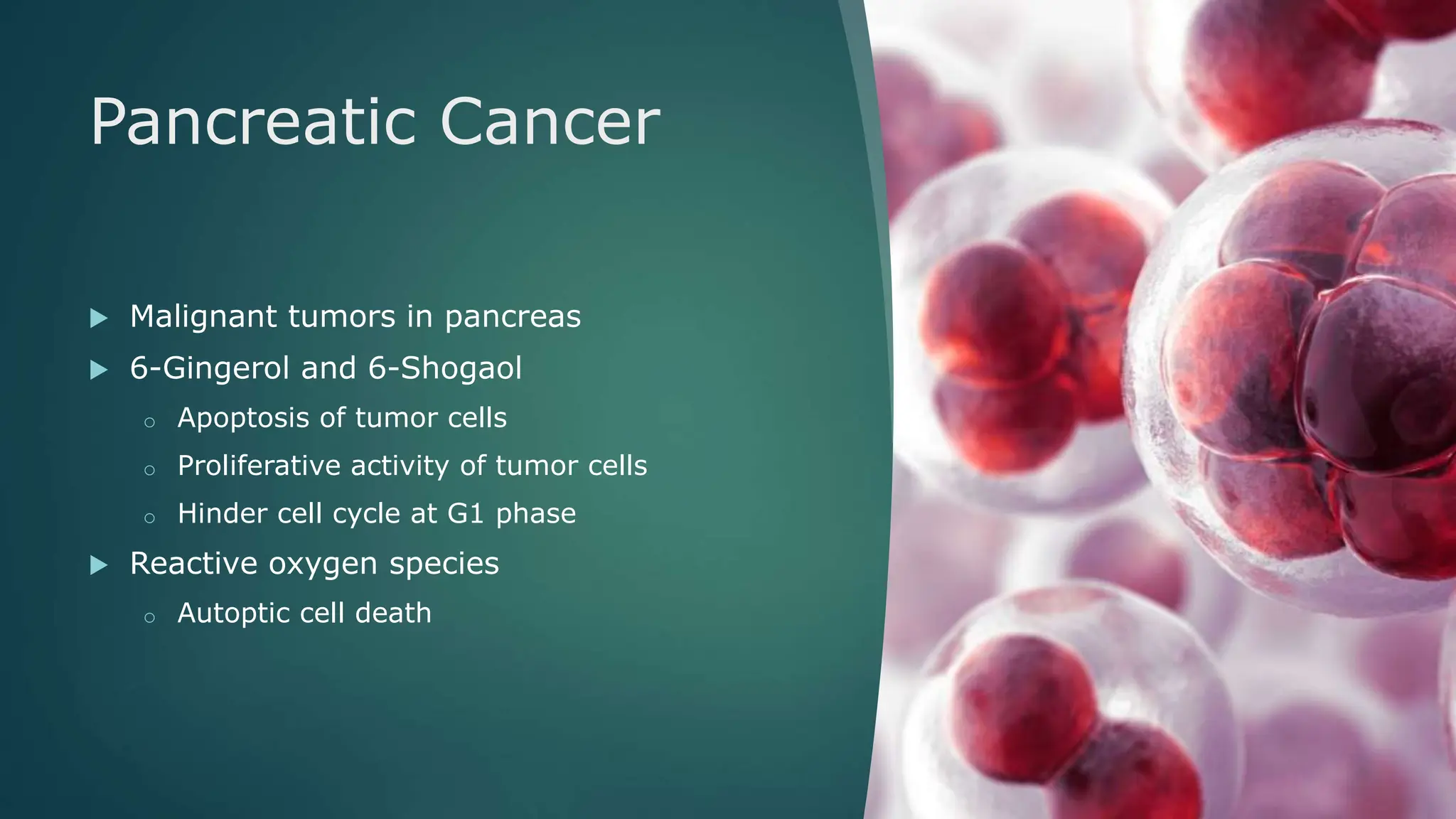 Medicinal biospecificity of ginger and its bioactive compounds | PPTX ...