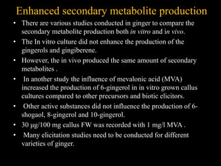 Enhanced secondary metabolite production
• There are various studies conducted in ginger to compare the
secondary metabolite production both in vitro and in vivo.
• The In vitro culture did not enhance the production of the
gingerols and gingiberene.
• However, the in vivo produced the same amount of secondary
metabolites .
• In another study the influence of mevalonic acid (MVA)
increased the production of 6-gingerol in in vitro grown callus
cultures compared to other precursors and biotic elicitors.
• Other active substances did not influence the production of 6-
shogaol, 8-gingerol and 10-gingerol.
• 30 μg/100 mg callus FW was recorded with 1 mg/l MVA .
• Many elicitation studies need to be conducted for different
varieties of ginger.
 