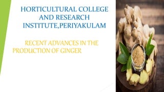 HORTICULTURAL COLLEGE
AND RESEARCH
INSTITUTE,PERIYAKULAM
RECENT ADVANCES IN THE
PRODUCTION OF GINGER
 