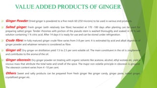 VALUE ADDED PRODUCTS OF GINGER
 Ginger Powder: Dried ginger is powdered to a fine mesh-60 (250 microns) to be used in various end products.
 Salted ginger: Fresh ginger (with relatively low fibre) harvested at 170 -180 days after planting can be used for
preparing salted ginger. Tender rhizomes with portion of the pseudo stem is washed thoroughly and soaked in 30 % salt
solution containing 1 % citric acid. After 14 days it is ready for use and can be stored under refrigeration.
 Crude fibre: In fully matured ginger crude fibre varies from 3-8 per cent. It is estimated by acid and alkali digestion of
ginger powder and whatever remains is considered as fibre.
 Ginger oil: Dry ginger on distillation yield 1.5 to 2.5 per cent volatile oil. The main constituent in the oil is zingiberene
and contributes to the aroma of the oil.
 Ginger oleoresin: Dry ginger powder on treating with organic solvents like acetone, alcohol, ethyl acetate etc. yield a
viscous mass that attribute the total taste and smell of the spice. The major non volatile principle in oleoresin is gingerol.
The oleoresin content varies from 4 -10 per cent.
 Others: Sweet and salty products can be prepared from fresh ginger like ginger candy, ginger paste, salted ginger,
crystallized ginger etc.
 