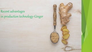 Recent advantages
in production technology-Ginger
 