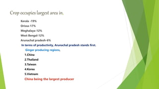 Crop occupies largest area in,
Kerala -19%
Orissa-17%
Meghalaya-12%
West Bengal-12%
Arunachal pradesh-6%
In terms of productivity, Arunachal pradesh stands first.
Ginger producing regions,
1.China
2.Thailand
3.Taiwan
4.Korea
5.Vietnam
China being the largest producer
 