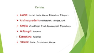 Varieties
 Assam: Jorhat, Nadia, Maran, Thinladium, Thingpuri.
 Andhra pradesh: Narsipatnam, Siddipet, Tuni.
 Kerala: Wynad local, Ernad, Kuruppamadi, Thoduphuza.
 W.Bengal: Burdwan
 Karnataka: Karakkal
 Sikkim: Bhaise, Gorubathane, Mazole.
 
