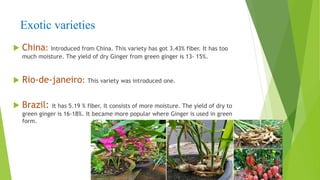 Exotic varieties
 China: Introduced from China. This variety has got 3.43% fiber. It has too
much moisture. The yield of dry Ginger from green ginger is 13- 15%.
 Rio-de-janeiro: This variety was introduced one.
 Brazil: It has 5.19 % fiber. It consists of more moisture. The yield of dry to
green ginger is 16-18%. It became more popular where Ginger is used in green
form.
 