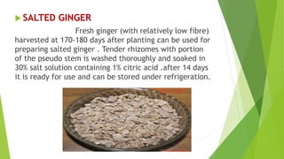  SALTED GINGER
Fresh ginger (with relatively low fibre)
harvested at 170-180 days after planting can be used for
preparing salted ginger . Tender rhizomes with portion
of the pseudo stem is washed thoroughly and soaked in
30% salt solution containing 1% citric acid .after 14 days
it is ready for use and can be stored under refrigeration.
 