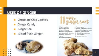 Ginger Curing Process Ginger cultivation and processing methods | PPTX