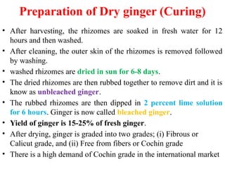 Cultivation Practice of Ginger in Nepal.pptx